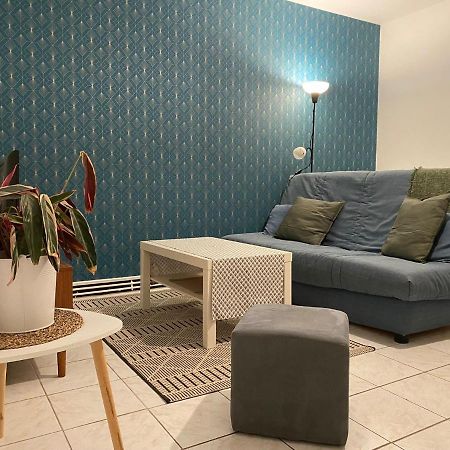 Appartement Cosy Pres De La Gare Avec Parking Сен-Пьер-Де-Кор Экстерьер фото